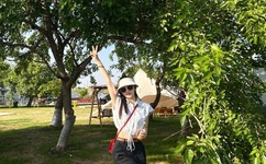 最后一颗子弹留给我在线阅读